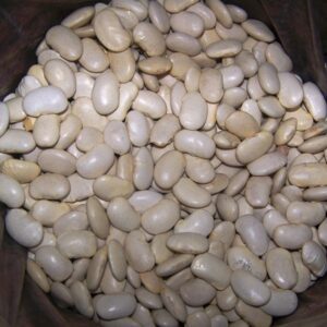 Beans Pinks